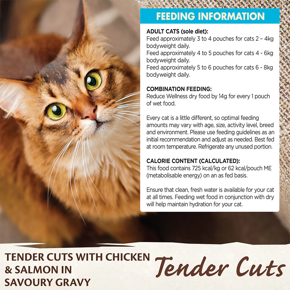 WELLNESS Core Tender Cuts With Chicken & Salmon in Savoury Gravy Wet Cat Food 85g x 8 - Image 5