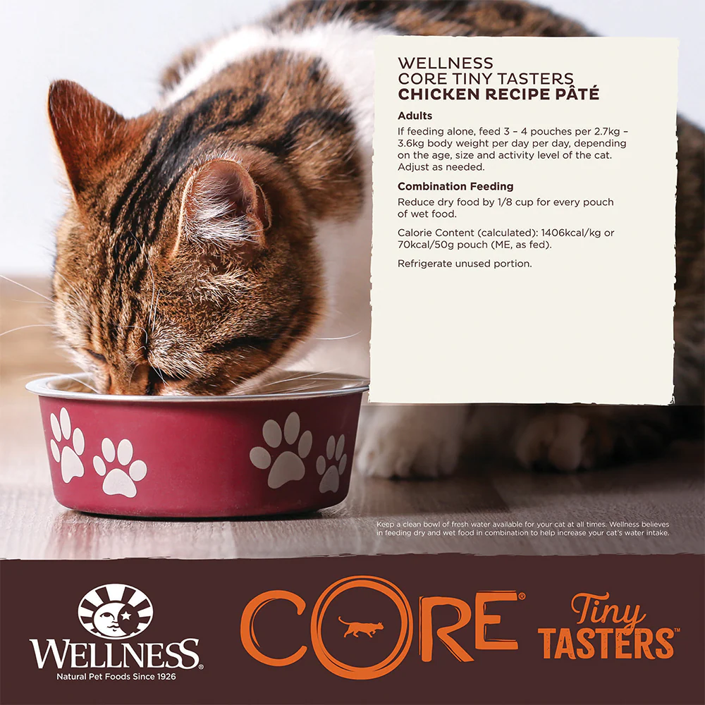 WELLNESS Core Tiny Tasters Smooth Pate Chicken Wet Cat Food - Image 3