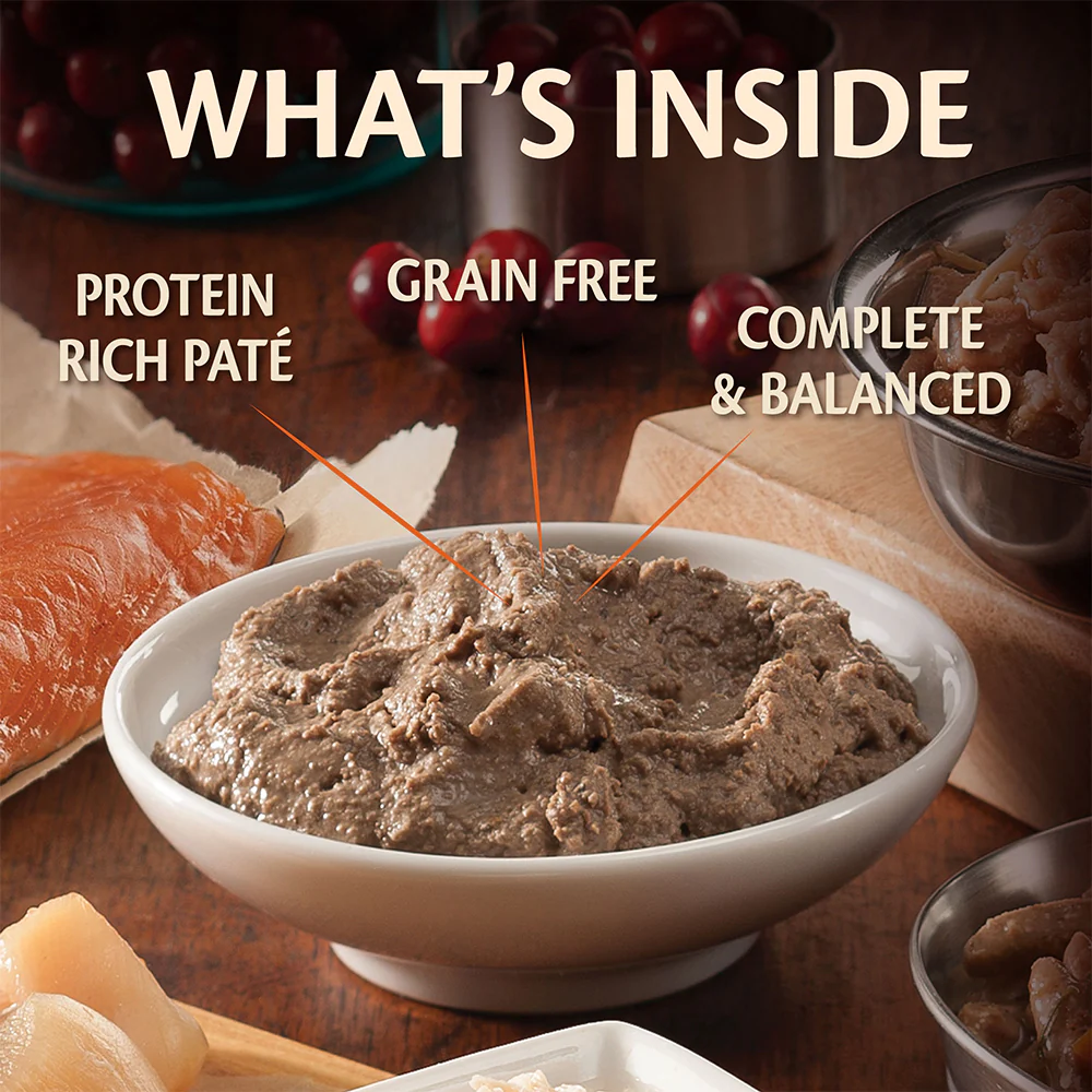 WELLNESS Core Tiny Tasters Smooth Pate Chicken Wet Cat Food - Image 5