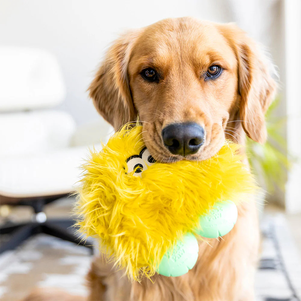 WEST PAW Rowdies Durable Plush Dog Toys - Image 3