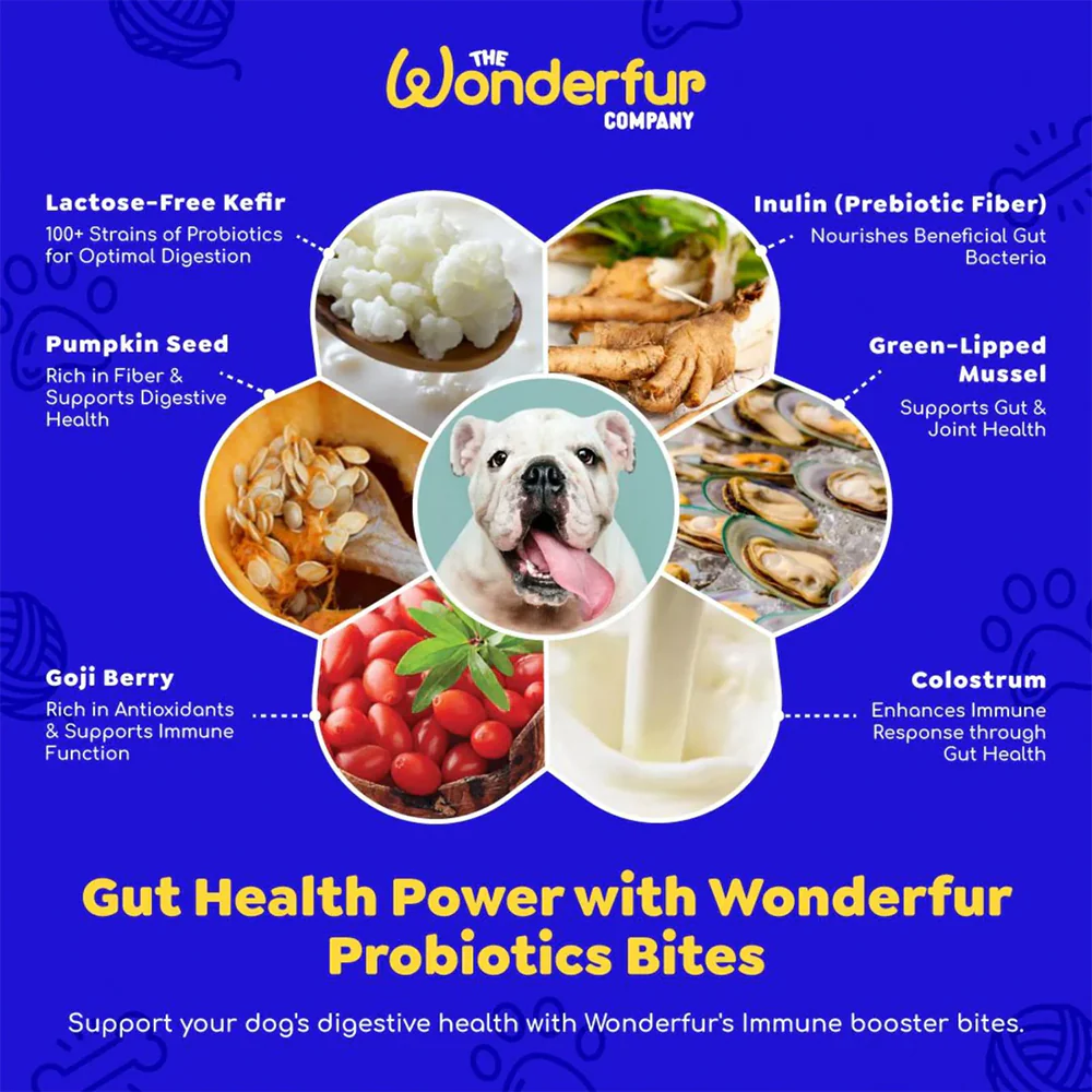 WONDERFUR Bites Immune Booster Yogurt Freeze Dried Dog Treats 50g - Image 4