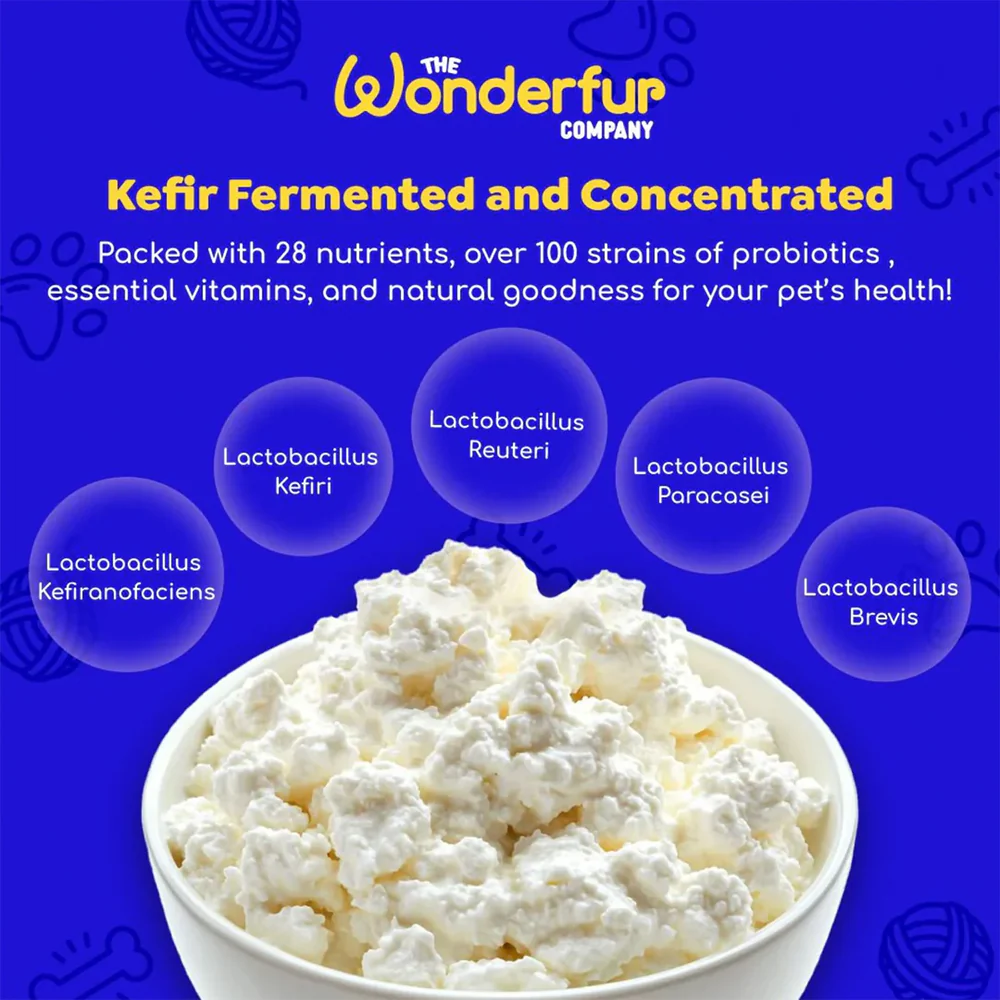 WONDERFUR Bites Immune Booster Yogurt Freeze Dried Dog Treats 50g - Image 6