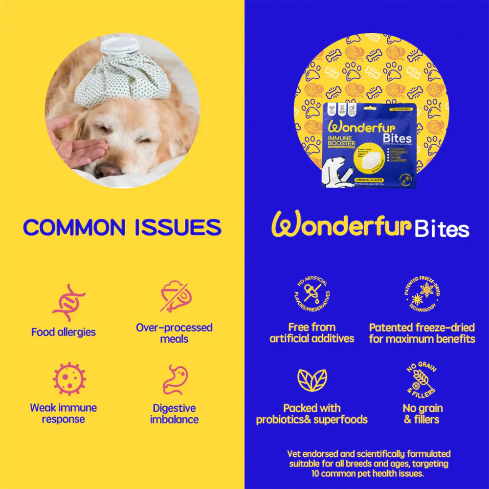 WONDERFUR Bites Immune Booster Yogurt Freeze Dried Dog Treats 50g - Image 8