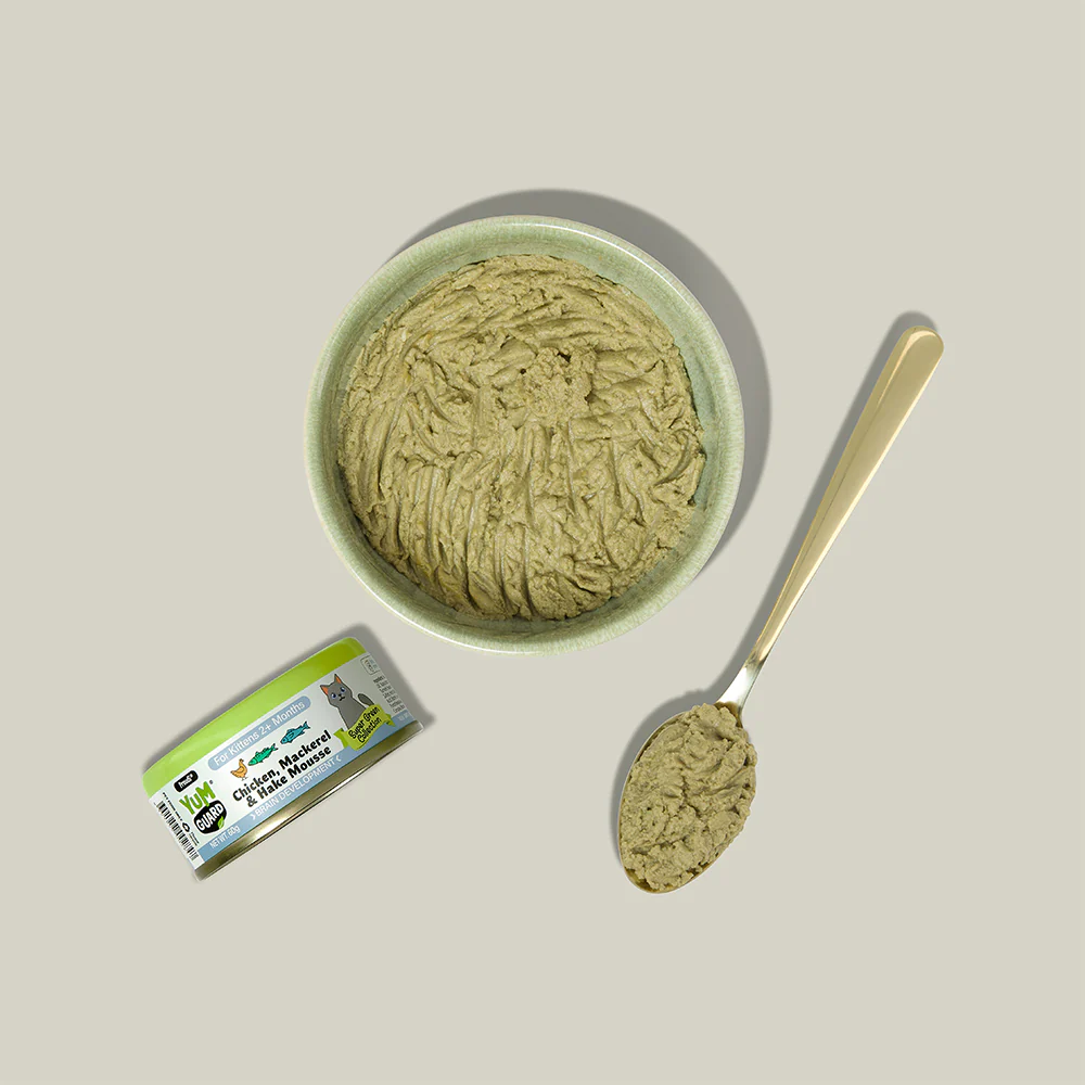 YUMGUARD Brain Development Chicken, Mackerel & Hake Mousse Kitten Wet Cat Food - Image 4