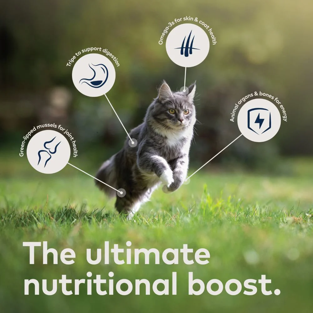 ZIWI Peak Chicken & Mackerel Wet Cat Food | All Life Stages - Image 5