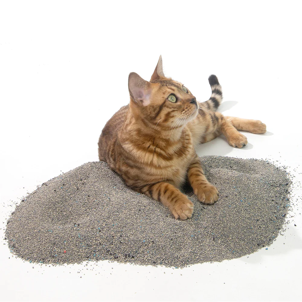 ZODIAC Natural Way Superfine Mineral Bentonite Cat Litter with Activated Charcoal - Image 7