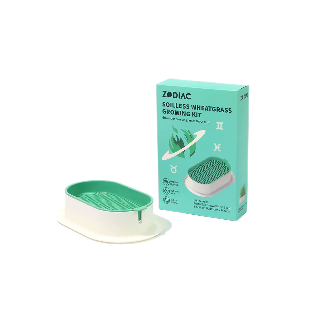 ZODIAC Soilless Wheatgrass Growing Kit - Green