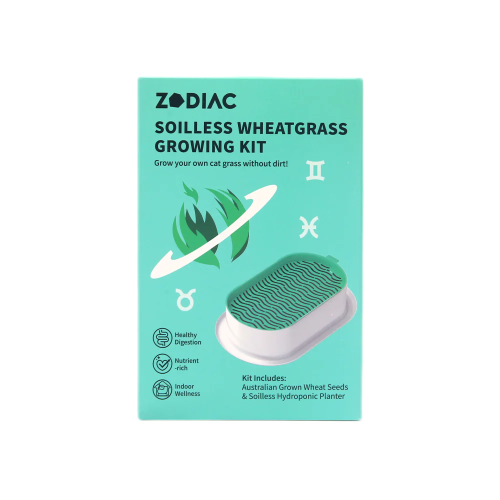 ZODIAC Soilless Wheatgrass Growing Kit - Green - Image 11