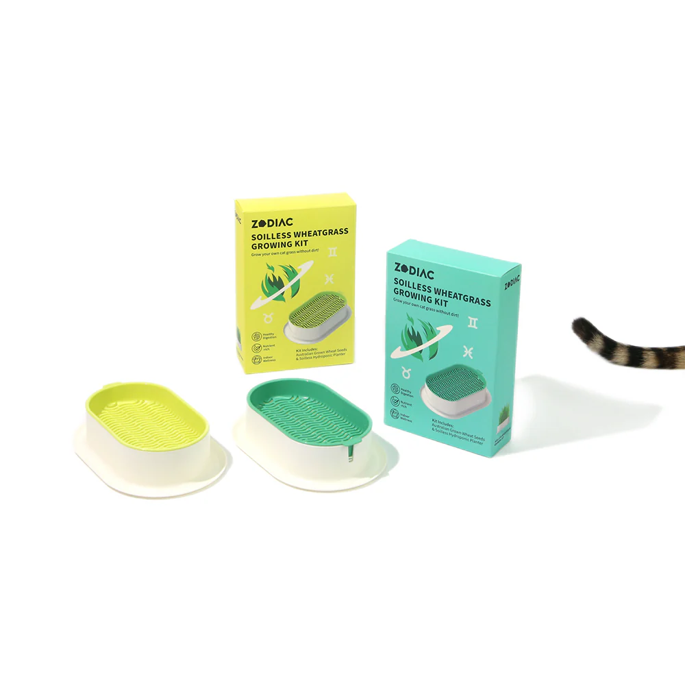 ZODIAC Soilless Wheatgrass Growing Kit - Green - Image 16