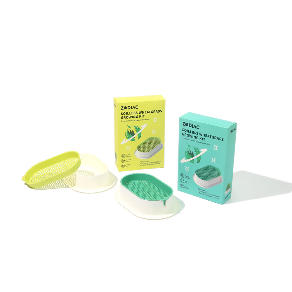 ZODIAC Soilless Wheatgrass Growing Kit - Green - Image 17