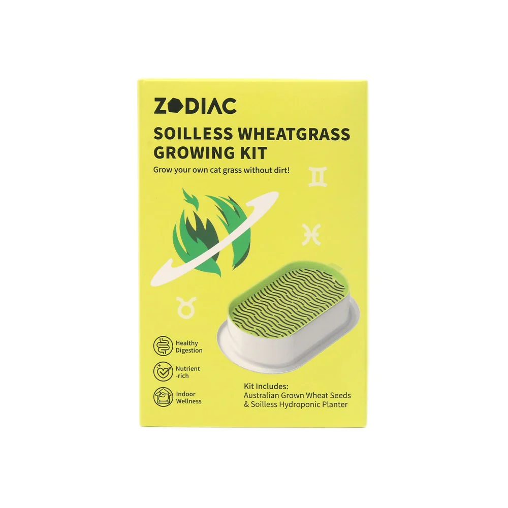 ZODIAC Soilless Wheatgrass Growing Kit - Yellow - Image 4