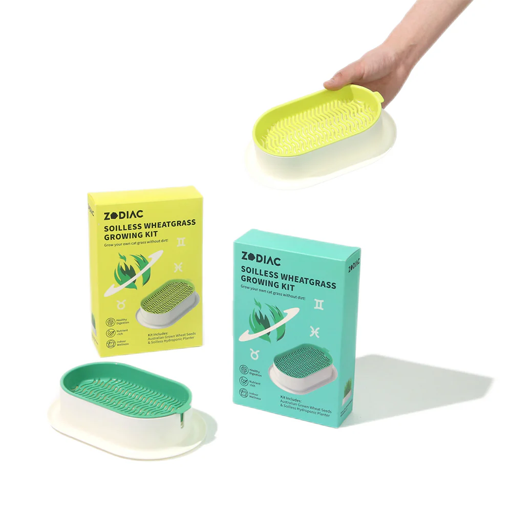 ZODIAC Soilless Wheatgrass Growing Kit - Yellow - Image 9